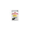 Royal Canin Dalmatien Dermacomfort Pour Chien 12 X 85g 1 Royal Canin Dalmatien Dermacomfort Pour Chien 12 X 85g -Royal Canin 0ad34e67ed7c2e27b5fa6a638d96460c13b46231e88d7499d599936fbfdafa0e