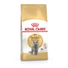 Royal Canin British Shorthair 2kg -Royal Canin 187f070b92557cde9a8fa22c620fdc090a70fafb63b62c6dbfea736d968d7358