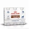 Royal Canin GI High Energy Liquid - 3 Flacons De 200ml 1 Royal Canin GI High Energy Liquid - 3 Flacons De 200ml -Royal Canin 18dd35214d12cda2d1d4ace436a854e5871c2bf9921299eb25f4f45bcdb6f150