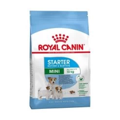Royal Canin Mini Starter Mother & Baby Dog - 4Kg