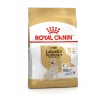Royal Canin Labrador Retriever Adult 5+ 3kg 2 Royal Canin Labrador Retriever Adult 5+ 3kg -Royal Canin 267881515b21faa0e1c205ebf7d87b5e60a094a6f083ea85dbcba2f4e520475a