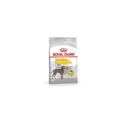 Royal Canin Dermacomfort Maxi Adult Pour Chien 3kg