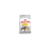 Royal Canin Dermacomfort Maxi Adult Pour Chien 12kg -Royal Canin 36361d33339be008d853f47fc8526bb5e65ec02b8fb162e8de94876d9b6912c9