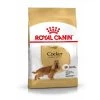 Royal Canin Cocker Adult Our Chien 3kg -Royal Canin 397d81ba1300b0426ed84cfd5c5e27027631c5aae7862fe4674c0713816b03f7