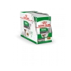 Royal Canin Mini Ageing 12+ Pour Chien 12 X 85g 1 Royal Canin Mini Ageing 12+ Pour Chien 12 X 85g -Royal Canin 4455c375a4870db99940c5da78857d4da67cd81c56c3fd12f78684c06ef8da9f