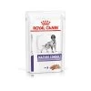 Royal Canin Chien Mature Consult Dog - 12 Sachets 85g (mousse) -Royal Canin 475f158bf6119988dbe269c8318048225a0e1411d4fe5f9d1dedf9dc4b19a1ff