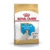 Royal Canin Jack Russel Chiot Pour Chien 3kg -Royal Canin 47eb138ca64260337e02dcd425c600f0bbd2385c2824f639daeaa7804737837b