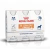 Royal Canin GI Low Fat - 3 Flacons De 200ml 2 Royal Canin GI Low Fat - 3 Flacons De 200ml -Royal Canin 4d472314b6a28162c49a90cdf0aeee462de82e0d382688d649bd200baee4f818