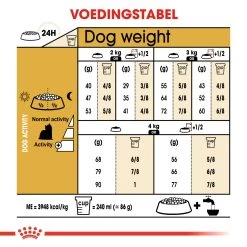 Royal Canin Yorkshire Adult Pour Chien 1,5kg 15 Royal Canin Yorkshire Adult Pour Chien 1,5kg -Royal Canin 5230b1e7a0cd732dc26166e4c430762b175b562961e3bdc6b0e38473a8d975cd 2