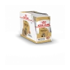 Royal Canin Shih Tzu 12x 85g 1 Royal Canin Shih Tzu 12x 85g -Royal Canin 58ac3b3271a08f3c3fe0360d8b63e0f7a8cfcbb73a5690fedae2edde7d751246