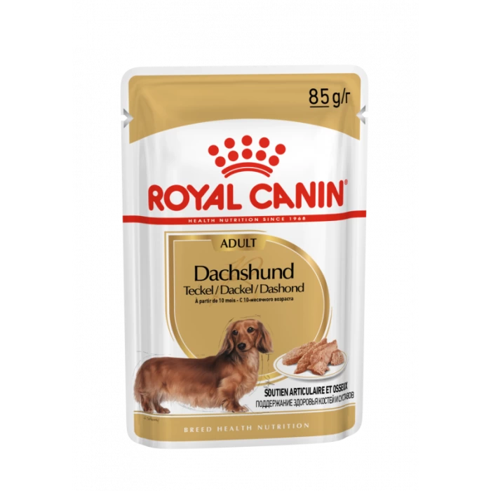 Royal Canin Teckel Adult Pour Chien 12 X 85g 3 Royal Canin Teckel Adult Pour Chien 12 X 85g