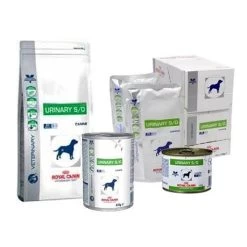 Royal Canin Urinary Chien -Royal Canin 79dbc42ddd876cf7d99fbddce1c3f3bfa57930b64eb2fb2a16b20c125b47feb6