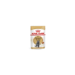 Royal Canin Britisch Shorthair Pour Chat 12 X 85g