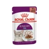 Royal Canin - Sensory Feel Morceaux En Sauce Pour Chat Adulte- 12 X 85g -Royal Canin 92c467edfacdd46b5583149098e916a24818f8df4ed26f0379cc9699f6828223