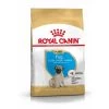 Royal Canin Carlin (Pug) Chiot Pour Chien 1,5kg -Royal Canin 99d32243857e6cbb8677ea6a83edd8a1d42014abd1f3b77e64512c0dcfbdf543