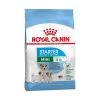 Royal Canin Mini Starter Mother & Babydog - 8Kg 1 Royal Canin Mini Starter Mother & Babydog - 8Kg -Royal Canin 9b2e0bf798674f1dcae3728754d8d29b2fe35fe466109b04dbd50098b2f4f18f 1