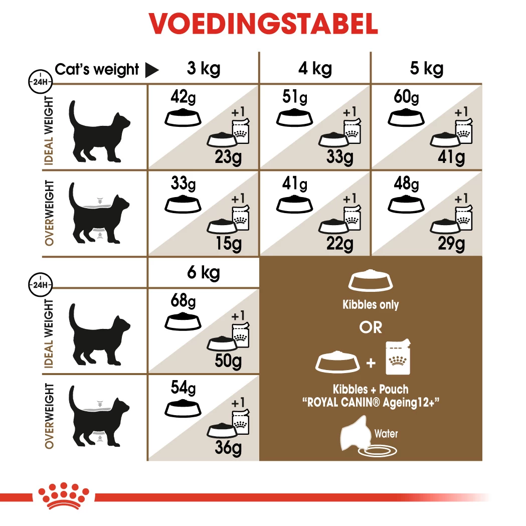 Royal Canin Ageing 12+ Pour Chat 4kg 4 Royal Canin Ageing 12+ Pour Chat 4kg – Image 2