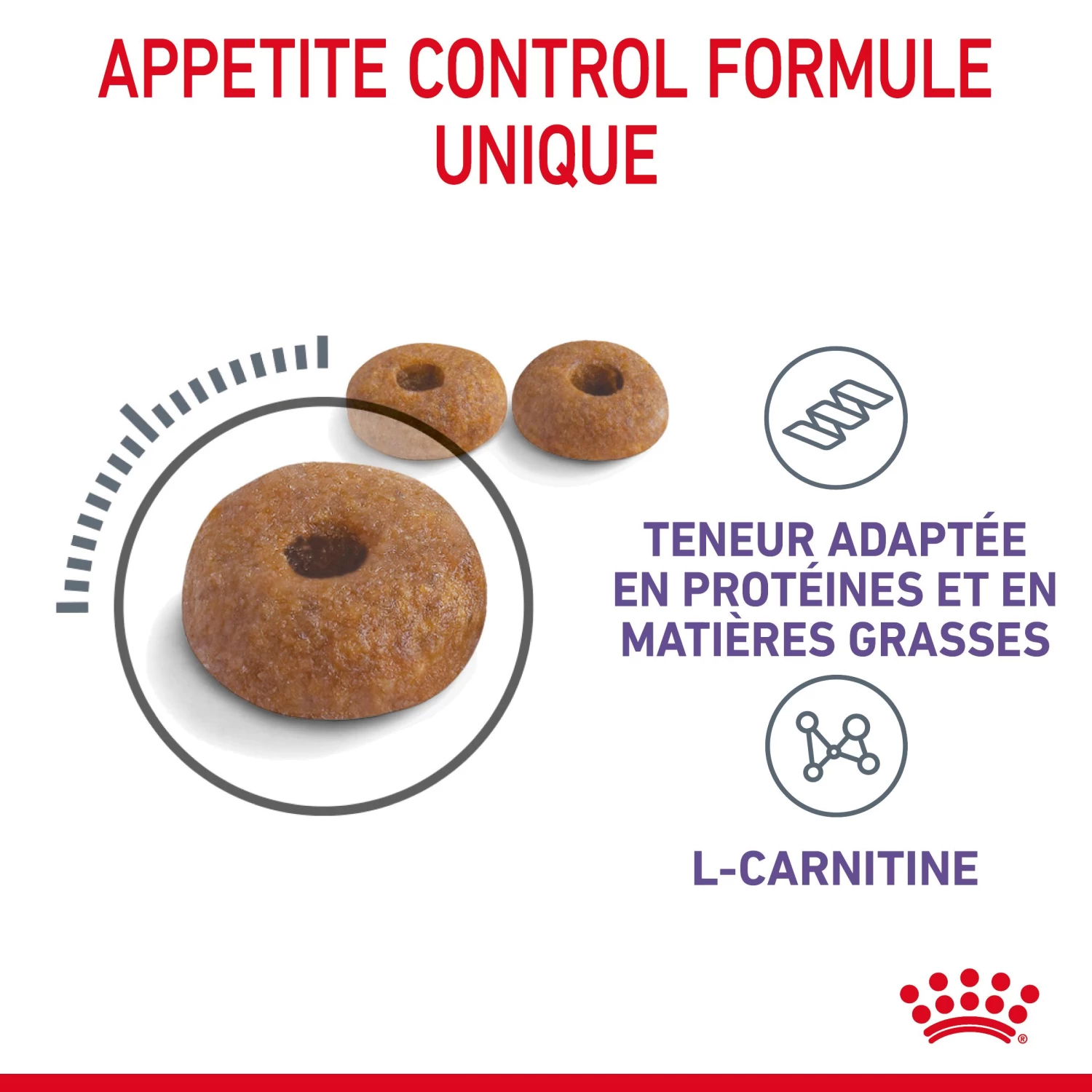 Royal Canin Appetite Control Pour Chat 2kg 7 Royal Canin Appetite Control Pour Chat 2kg – Image 5