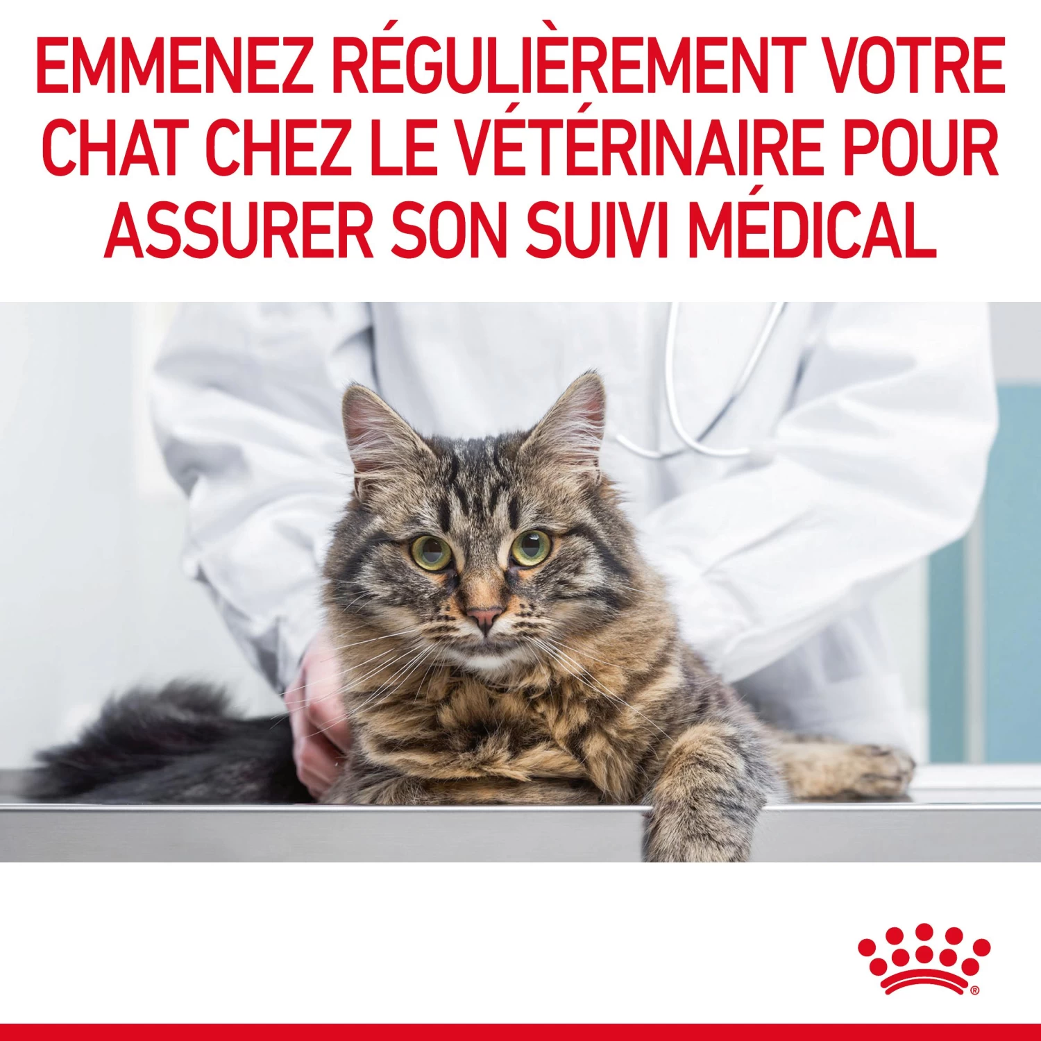 Royal Canin Appetite Control Pour Chat 2kg 13 Royal Canin Appetite Control Pour Chat 2kg – Image 11