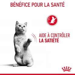 Royal Canin Appetite Control En Sauce Pour Chat 12 Sachets De 85g -Royal Canin Royal Canin Appetite Control Care Gravy Chat FR 08