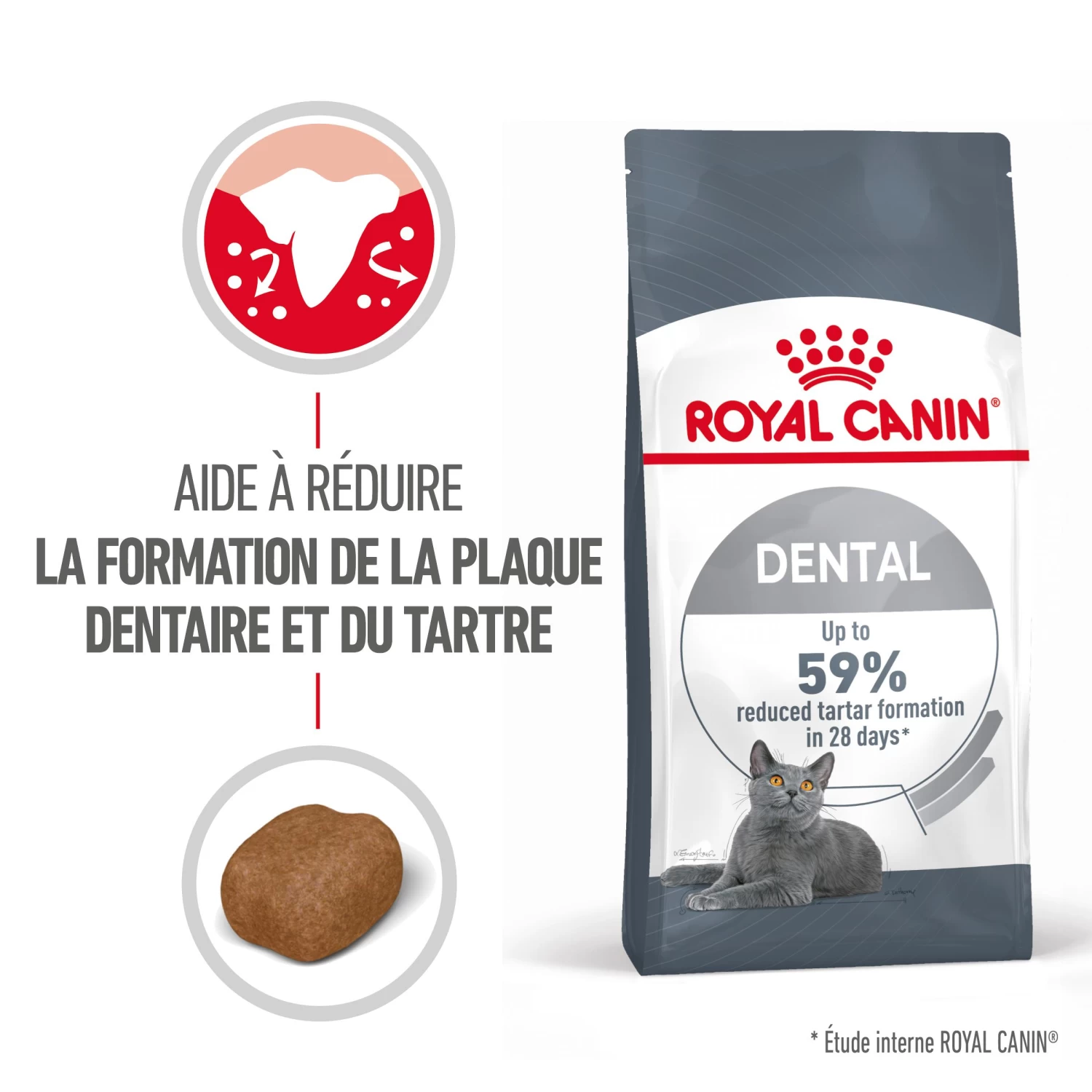 Royal Canin Dental Care Pour Chat 8kg 4 Royal Canin Dental Care Pour Chat 8kg – Image 2