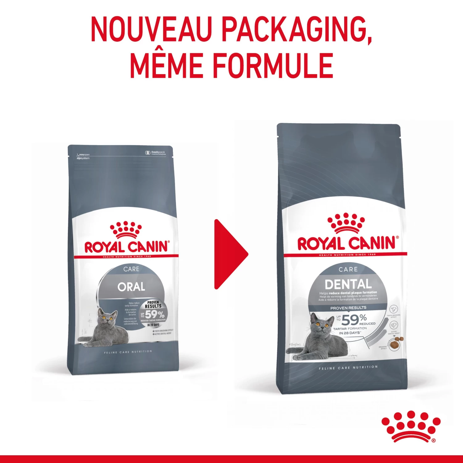 Royal Canin Dental Care Pour Chat 8kg 5 Royal Canin Dental Care Pour Chat 8kg – Image 3