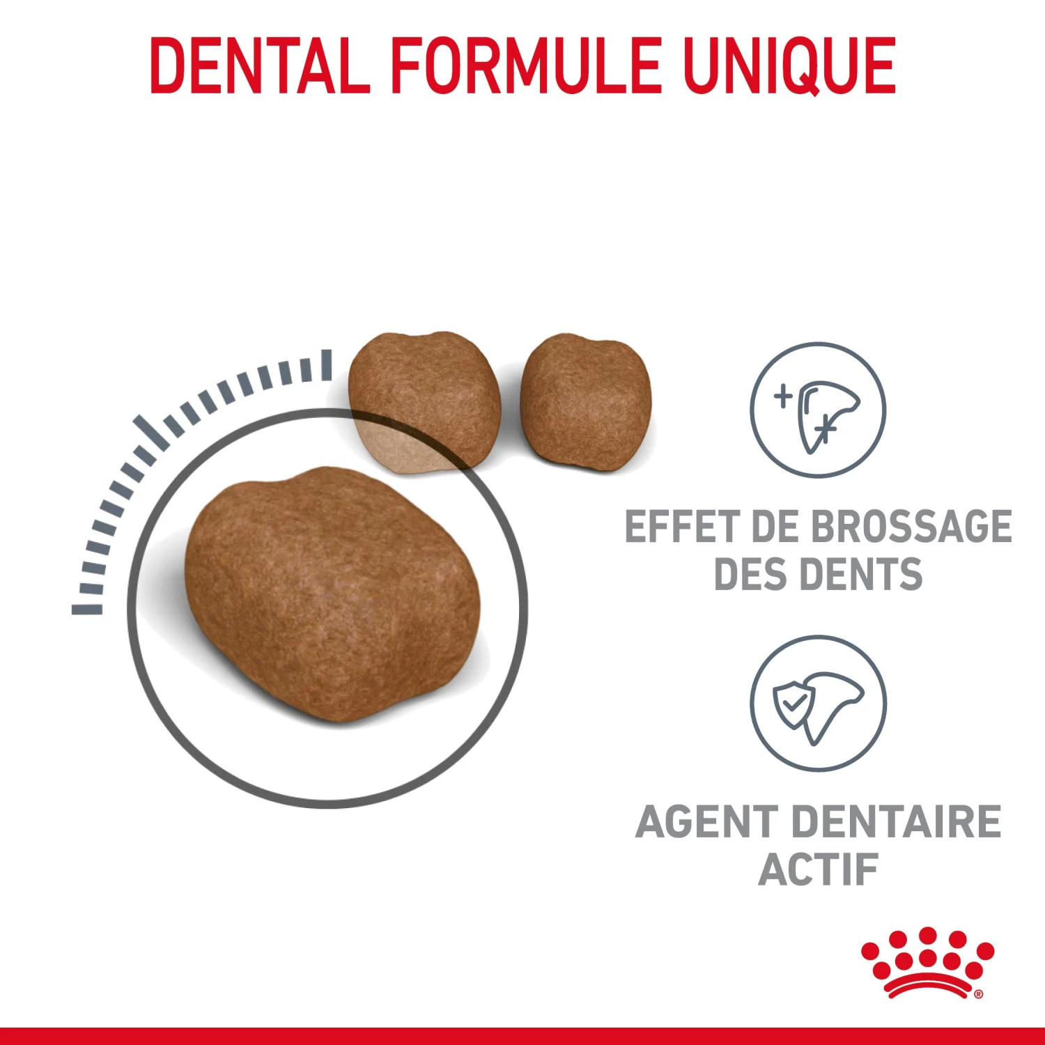 Royal Canin Dental Care Pour Chat 8kg 6 Royal Canin Dental Care Pour Chat 8kg – Image 4