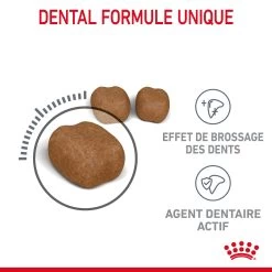 Royal Canin Dental Care Pour Chat 3,5kg -Royal Canin Royal Canin Dental Care Chat FR 04
