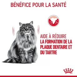 Royal Canin Dental Care Pour Chat 1,5kg -Royal Canin Royal Canin Dental Care Chat FR 06 1