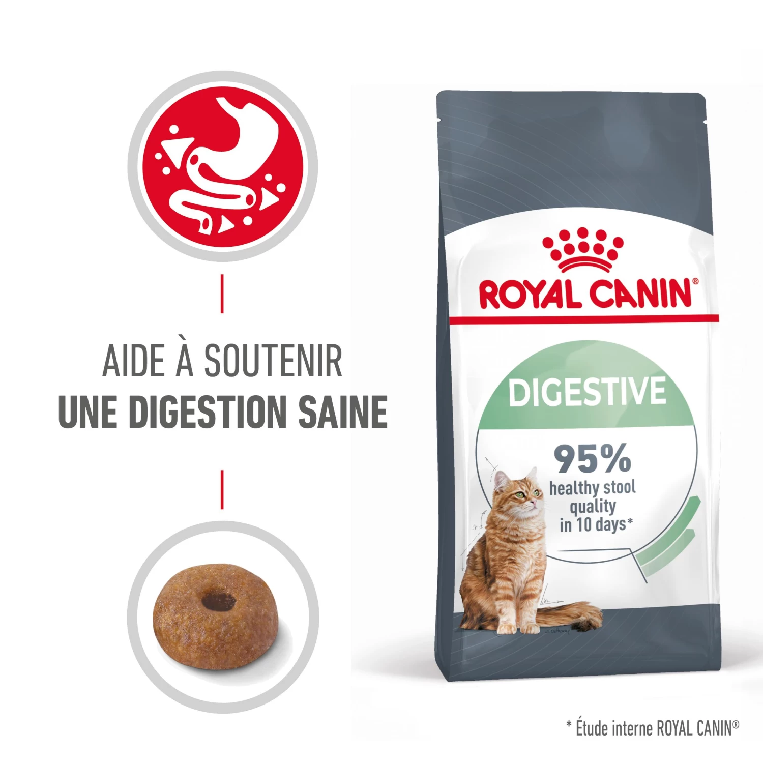 Royal Canin Digestive Care Pour Chat 10kg 4 Royal Canin Digestive Care Pour Chat 10kg – Image 2