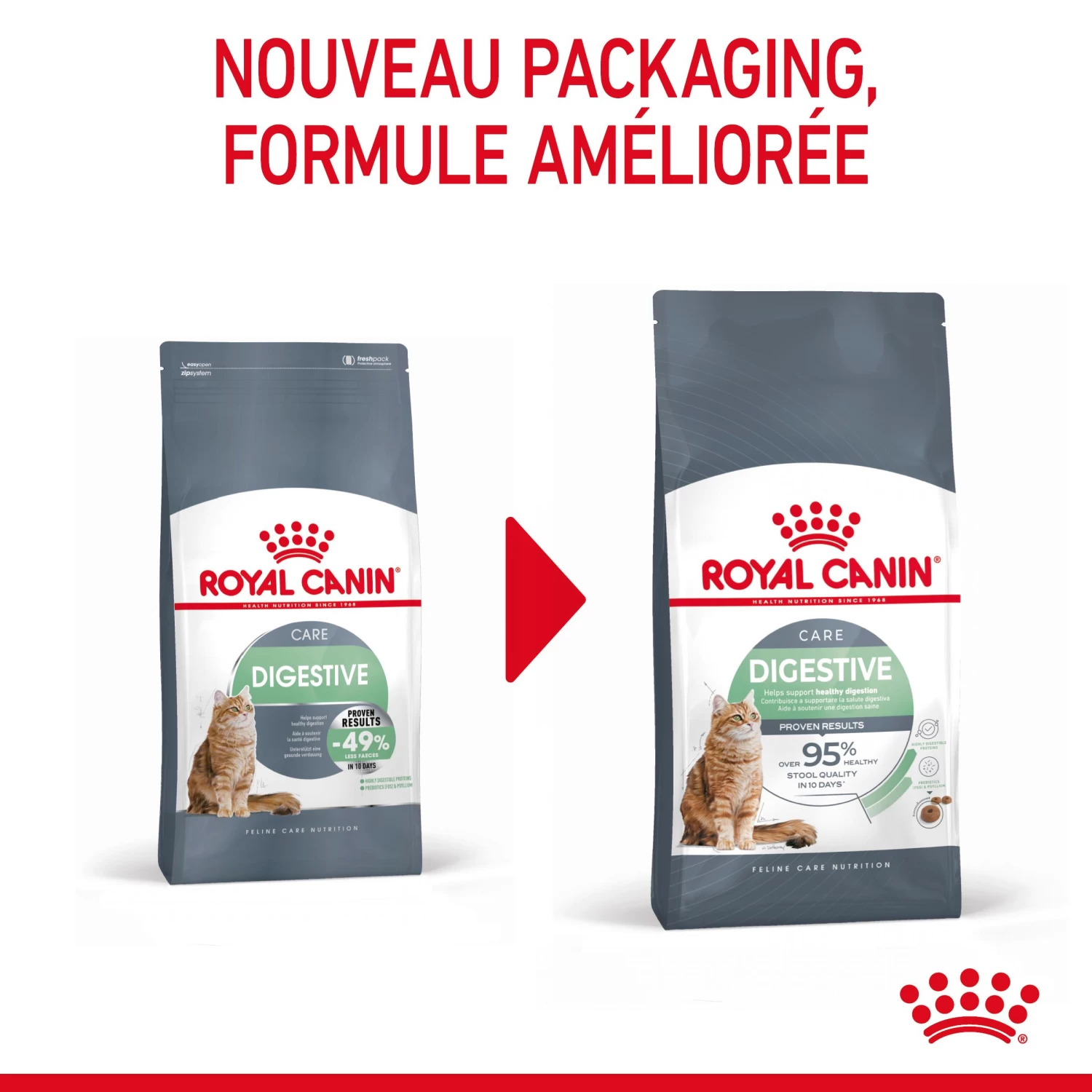 Royal Canin Digestive Care Pour Chat 10kg 5 Royal Canin Digestive Care Pour Chat 10kg – Image 3