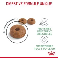 Royal Canin Digestive Care Pour Chat 4kg -Royal Canin Royal Canin Digestive Care Chat FR 05 1