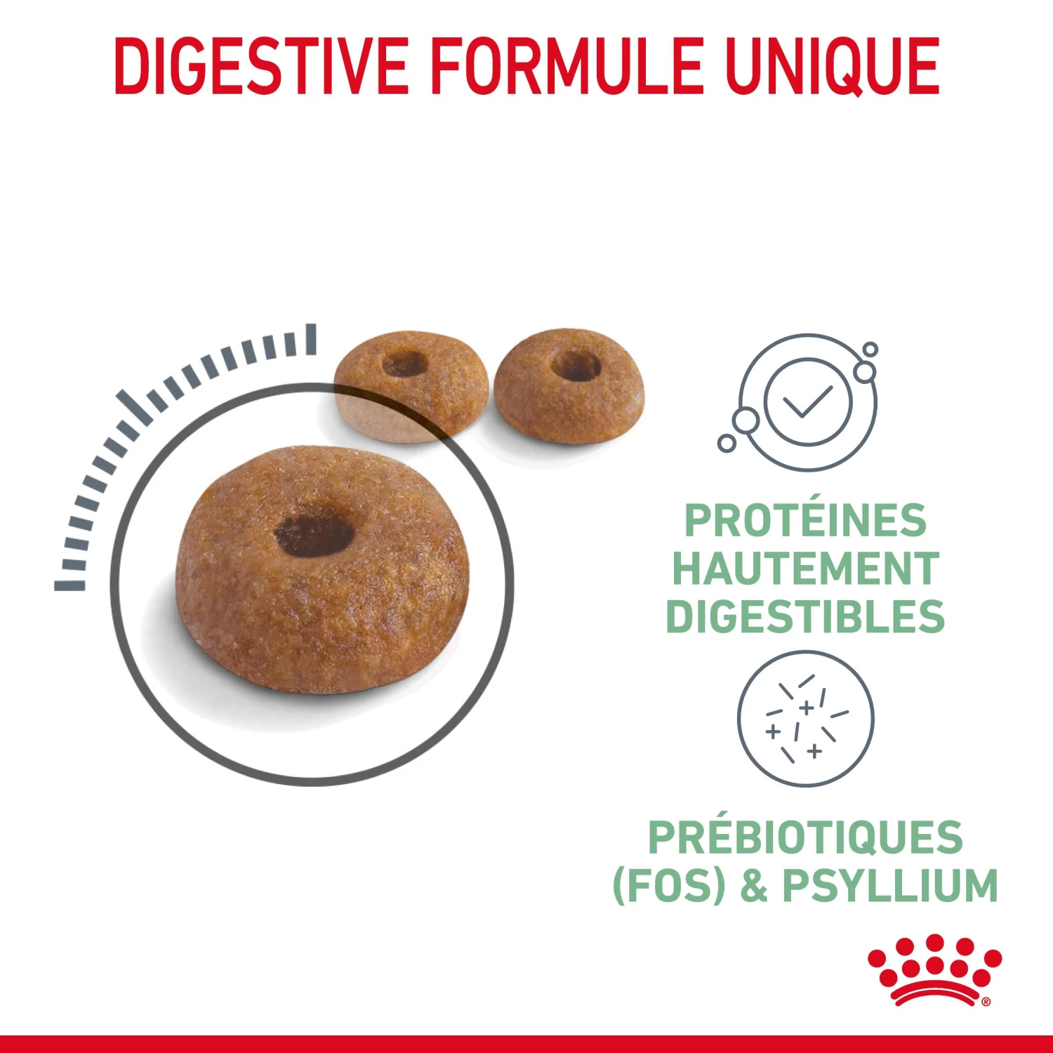 Royal Canin Digestive Care Pour Chat 10kg 7 Royal Canin Digestive Care Pour Chat 10kg – Image 5