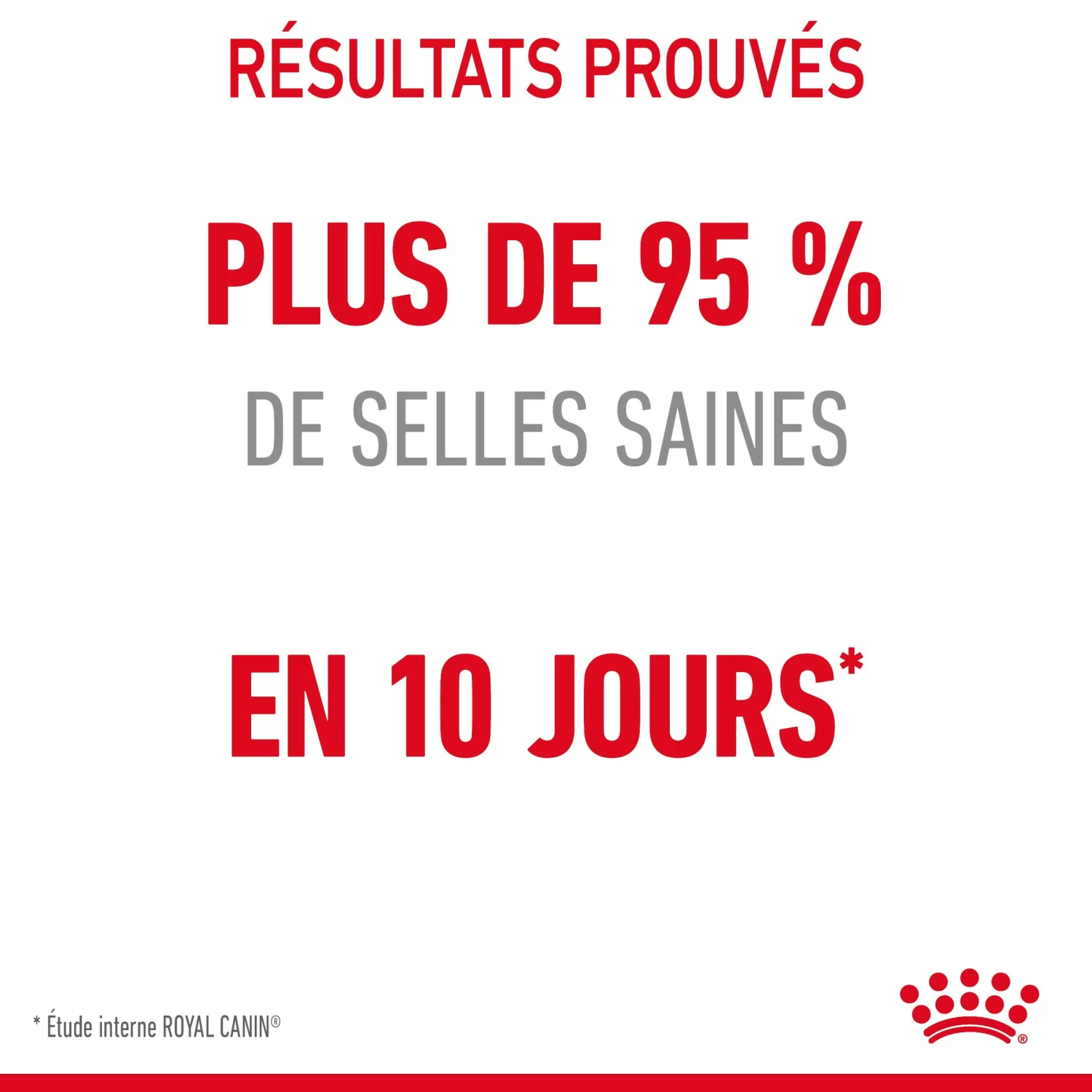 Royal Canin Digestive Care Pour Chat 10kg 8 Royal Canin Digestive Care Pour Chat 10kg – Image 6