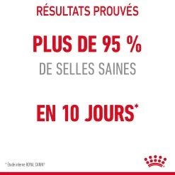 Royal Canin Digestive Care Pour Chat 2kg -Royal Canin Royal Canin Digestive Care Chat FR 06