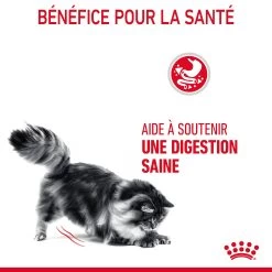 Royal Canin Digestive Care Pour Chat 10kg 19 Royal Canin Digestive Care Pour Chat 10kg -Royal Canin Royal Canin Digestive Care Chat FR 07 2
