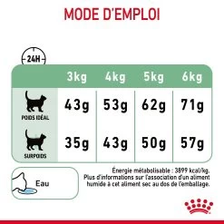 Royal Canin Digestive Care Pour Chat 10kg 21 Royal Canin Digestive Care Pour Chat 10kg -Royal Canin Royal Canin Digestive Care Chat FR 09 2
