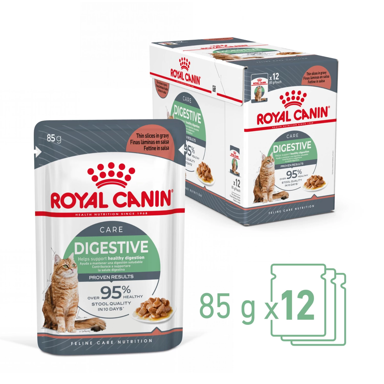 Royal Canin Digestive Care En Sauce Pour Chat 12 Sachets De 85g 4 Royal Canin Digestive Care En Sauce Pour Chat 12 Sachets De 85g – Image 2