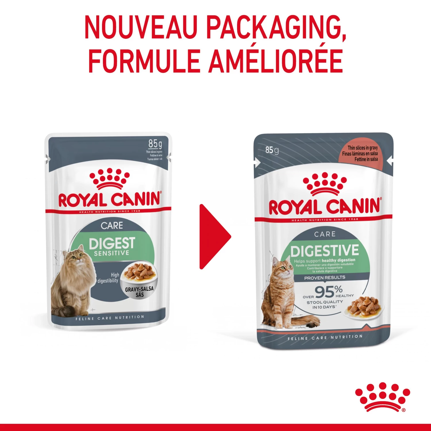 Royal Canin Digestive Care En Sauce Pour Chat 12 Sachets De 85g 7 Royal Canin Digestive Care En Sauce Pour Chat 12 Sachets De 85g – Image 5