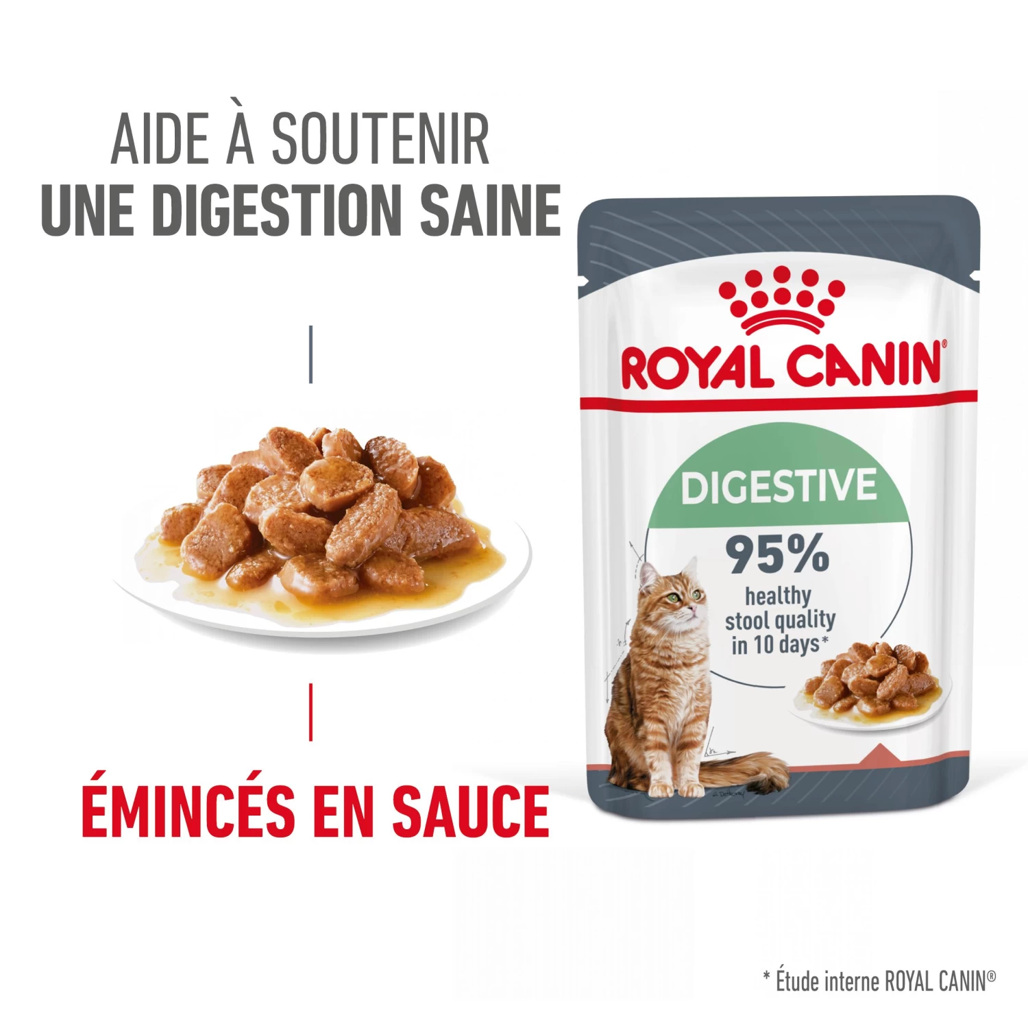 Royal Canin Digestive Care En Sauce Pour Chat 12 Sachets De 85g 8 Royal Canin Digestive Care En Sauce Pour Chat 12 Sachets De 85g – Image 6