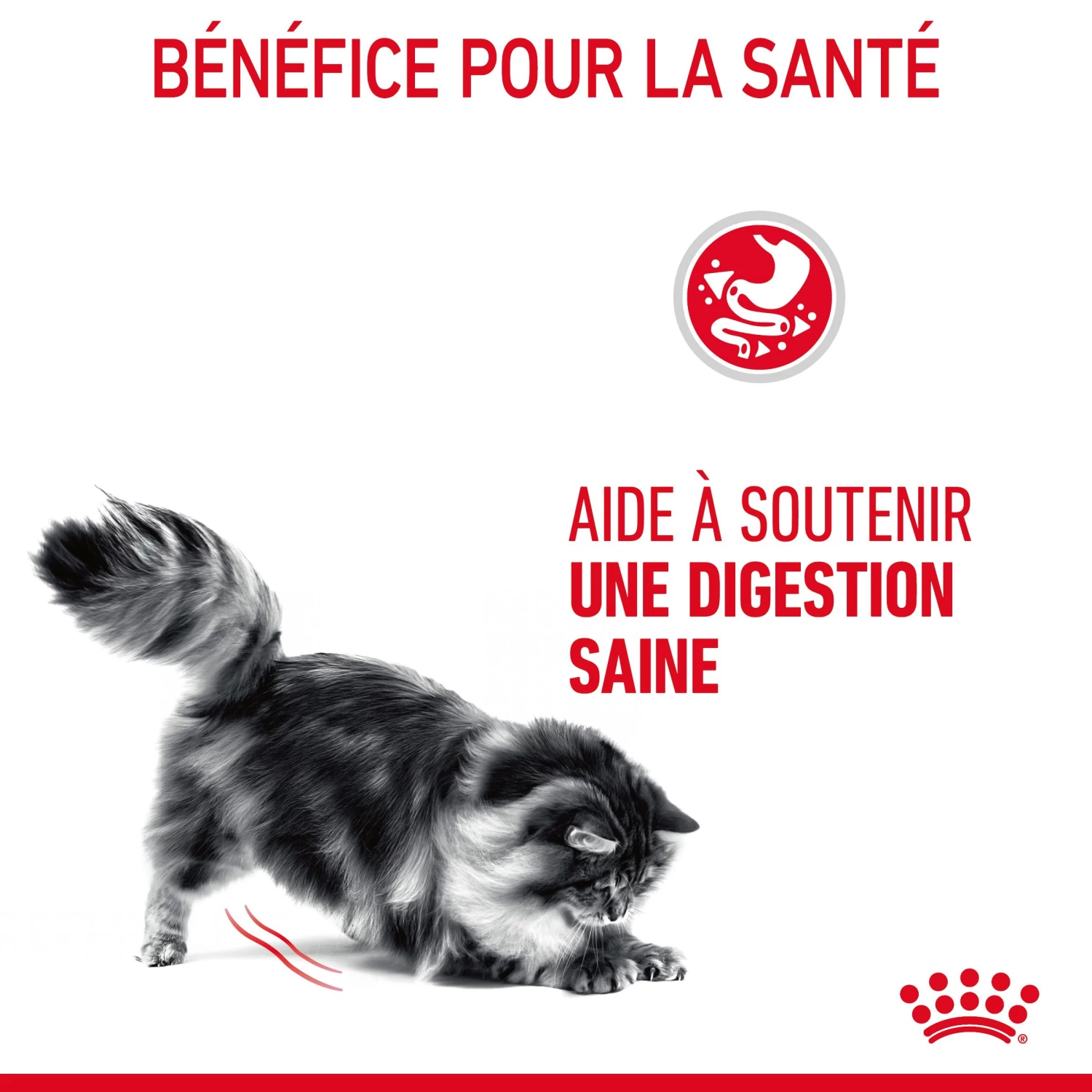 Royal Canin Digestive Care En Sauce Pour Chat 12 Sachets De 85g 11 Royal Canin Digestive Care En Sauce Pour Chat 12 Sachets De 85g – Image 9
