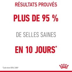 Royal Canin Digestive Care En Sauce Pour Chat 12 Sachets De 85g 29 Royal Canin Digestive Care En Sauce Pour Chat 12 Sachets De 85g -Royal Canin Royal Canin Digestive Care Gravy Chat FR 14