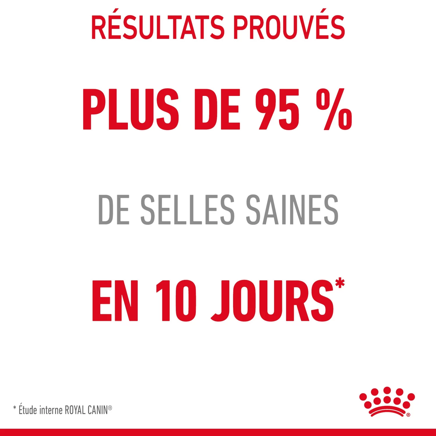 Royal Canin Digestive Care En Sauce Pour Chat 12 Sachets De 85g 16 Royal Canin Digestive Care En Sauce Pour Chat 12 Sachets De 85g – Image 14