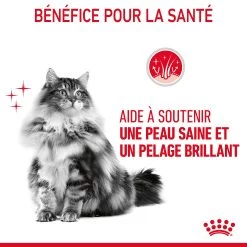 Royal Canin Hair & Skin Care En Sauce Pour Chat 12 Sachets De 85g -Royal Canin Royal Canin Hair Skin Care Gravy Chat FR 08
