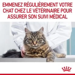 Royal Canin Hair & Skin Care En Sauce Pour Chat 12 Sachets De 85g -Royal Canin Royal Canin Hair Skin Care Gravy Chat FR 12