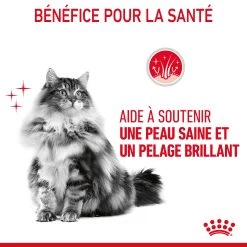 Royal Canin Hair & Skin Care Pour Chat 4kg -Royal Canin Royal Canin Hair skin Care Chat FR 07 2