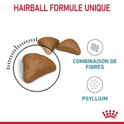 Royal Canin Hairball Care Pour Chat 4kg 17 Royal Canin Hairball Care Pour Chat 4kg -Royal Canin Royal Canin Hairball Care Chat FR 05
