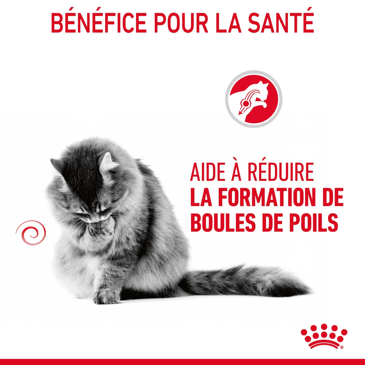 Royal Canin Hairball Care En Sauce Pour Chat 12 Sachets De 85g 10 Royal Canin Hairball Care En Sauce Pour Chat 12 Sachets De 85g – Image 8