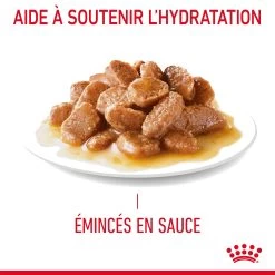Royal Canin Light Weight Care En Sauce Pour Chat 12 Sachets De 85g 21 Royal Canin Light Weight Care En Sauce Pour Chat 12 Sachets De 85g -Royal Canin Royal Canin Light Weight Care Gravy Chat FR 07