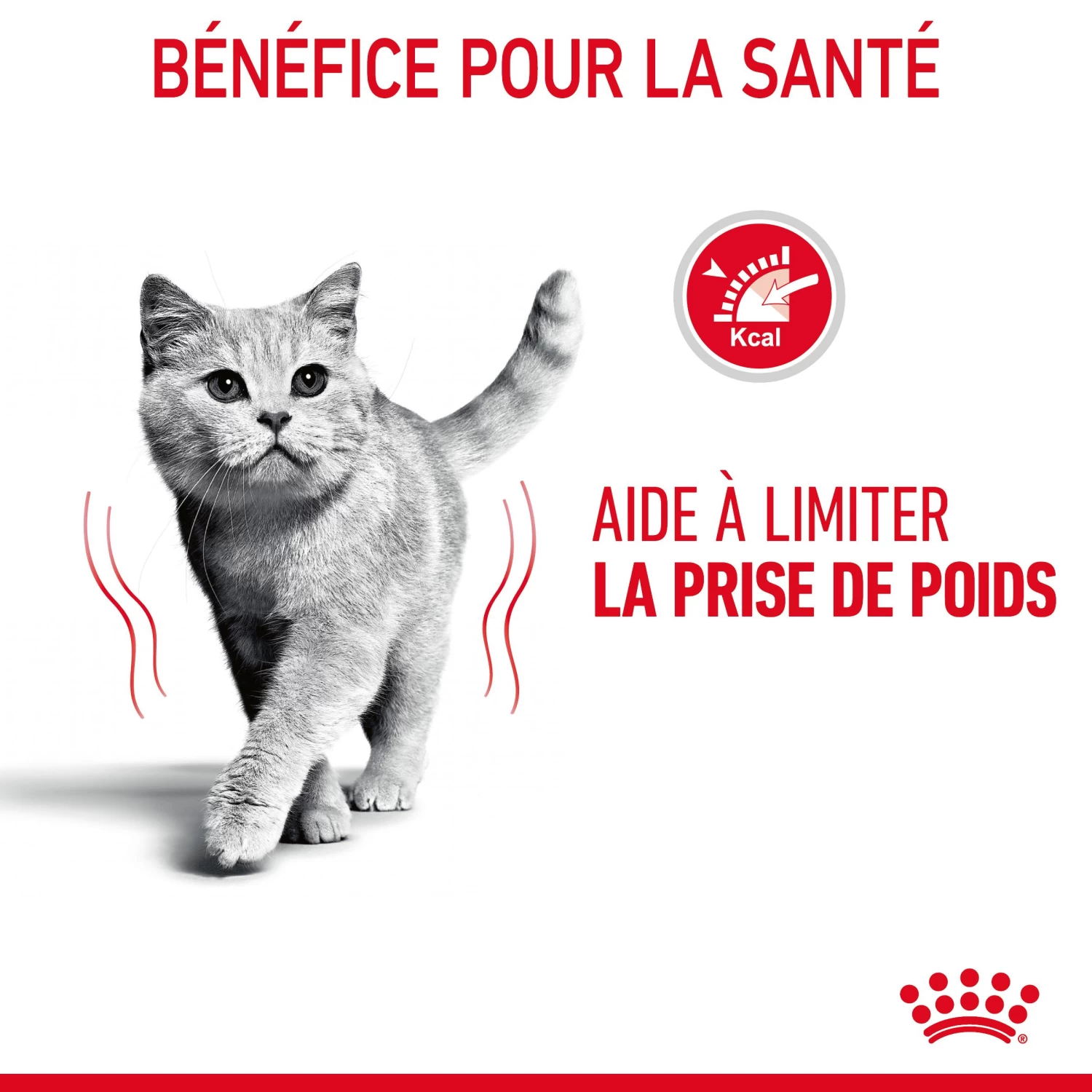 Royal Canin Light Weight Care En Sauce Pour Chat 12 Sachets De 85g 10 Royal Canin Light Weight Care En Sauce Pour Chat 12 Sachets De 85g – Image 8